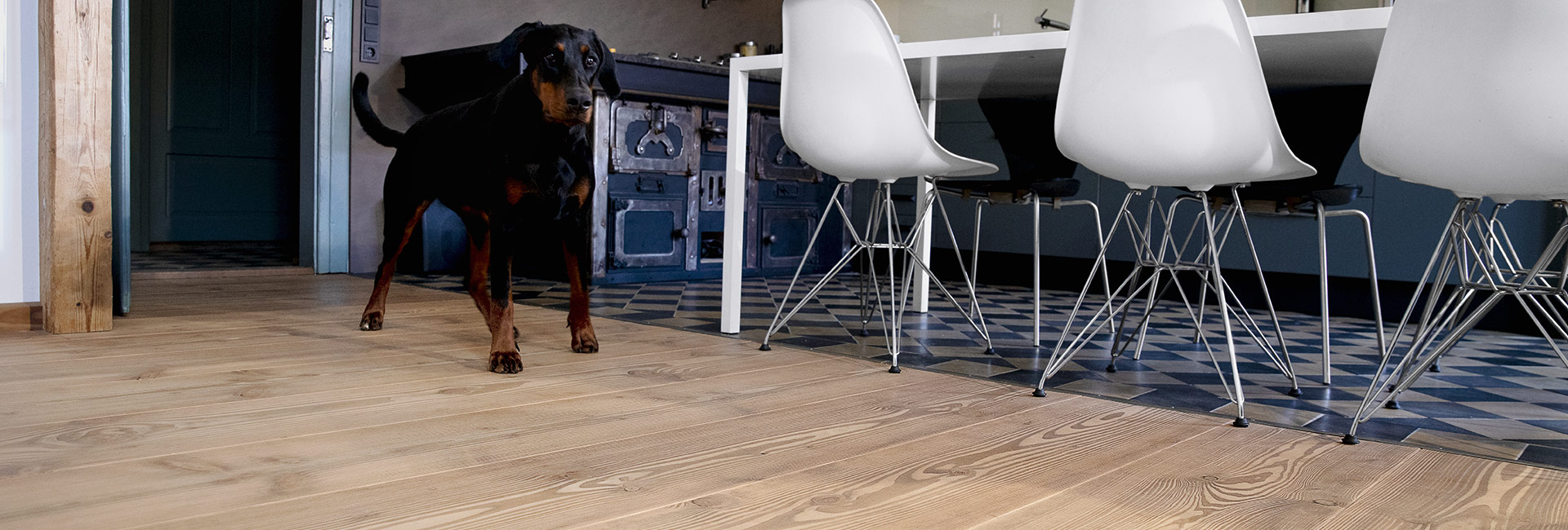 Hund Esszimmer